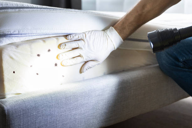 Best Affordable Pest Control Services  in Onalaska, WI