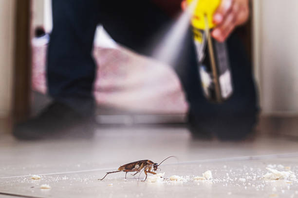 Best Local Pest Control Services  in Onalaska, WI