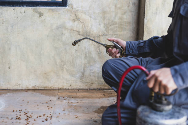 Best Pest Control Near Me  in Onalaska, WI